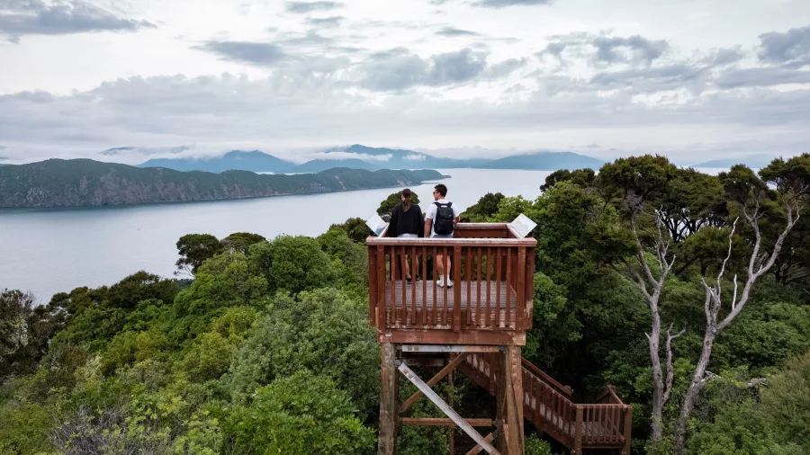 Visitors standing on the wooden viewing platform atop Motuara Island, looking across Queen Charlotte Sound.