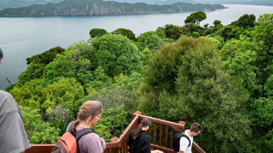 Group of visitors walking down the wooden steps of the Motuara Island lookout tower.