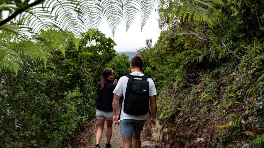 Couple hiking along a narrow trail on Motuara Island, surrounded by native ferns.