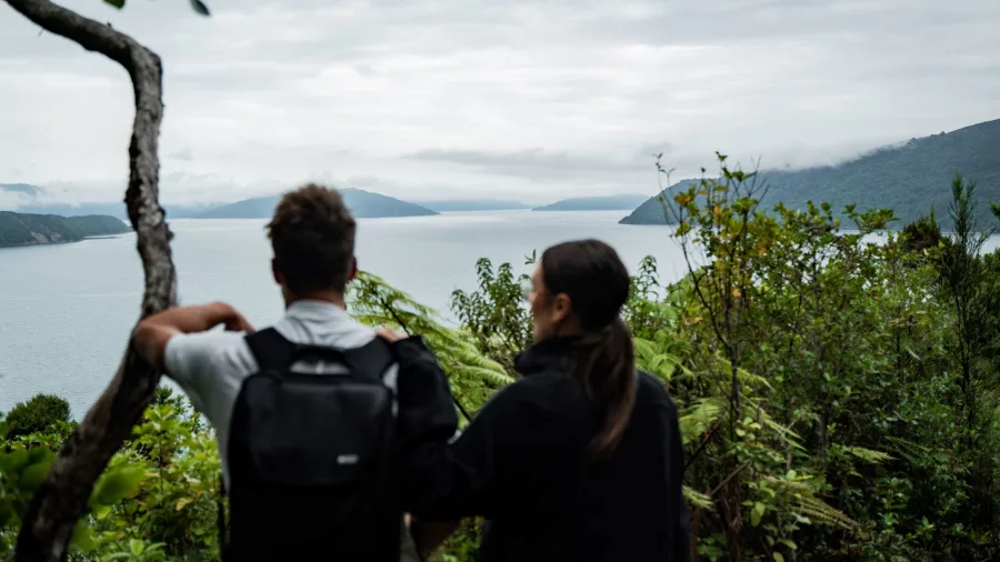 Couple admiring the scenic view over the Marlborough Sounds from a forested lookout.