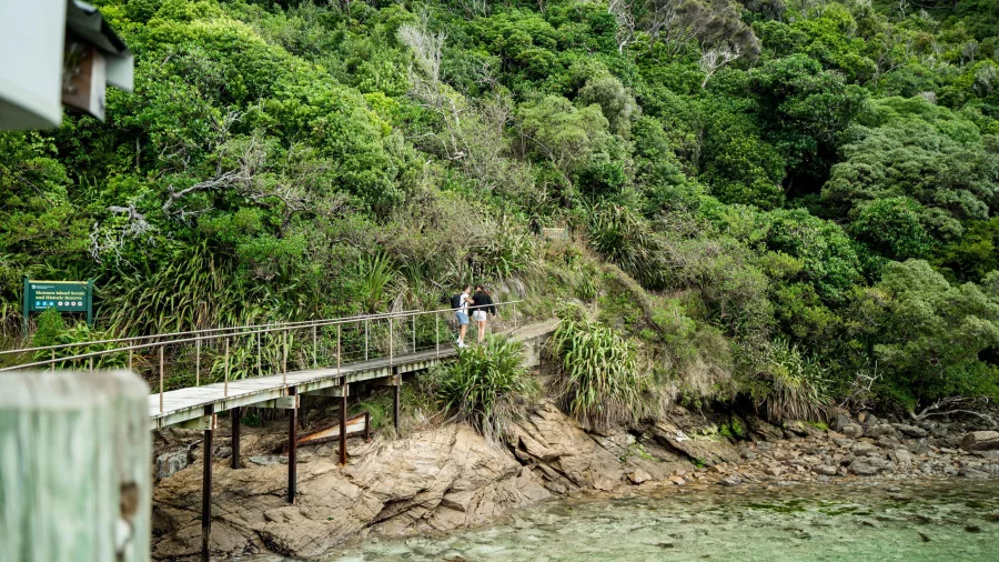 Visitors on the jetty walkway arriving at Motuara Island, surrounded by native bush.