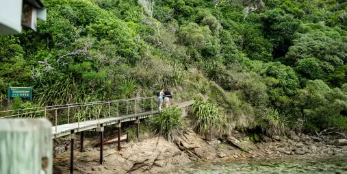 Visitors on the jetty walkway arriving at Motuara Island, surrounded by native bush.