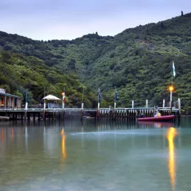 Punga Cove Resort’s jetty glowing in the evening light, surrounded by native bush.