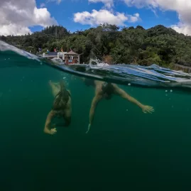 Over-under view of couple swimming near Punga Cove Resort, with forest in the background.
