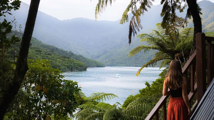 Woman enjoying views over Queen Charlotte Sound from forested steps at Punga Cove Resort.