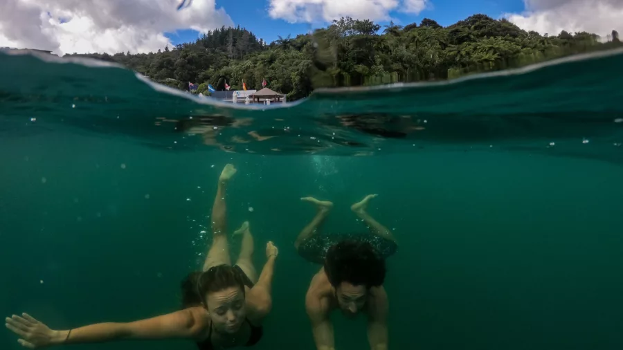 Couple swimming beneath the surface in the clear waters at Punga Cove Resort.