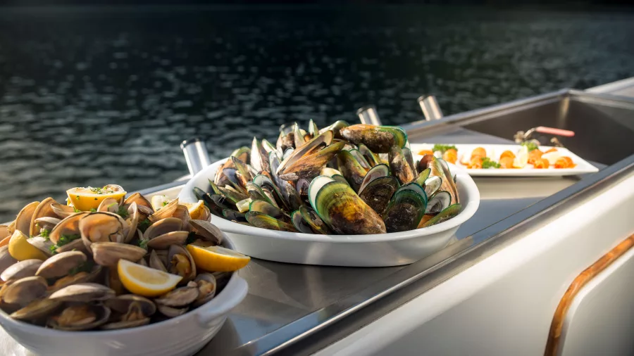 Fresh greenshell mussels and clams served on deck during a Marlborough Sounds cruise.