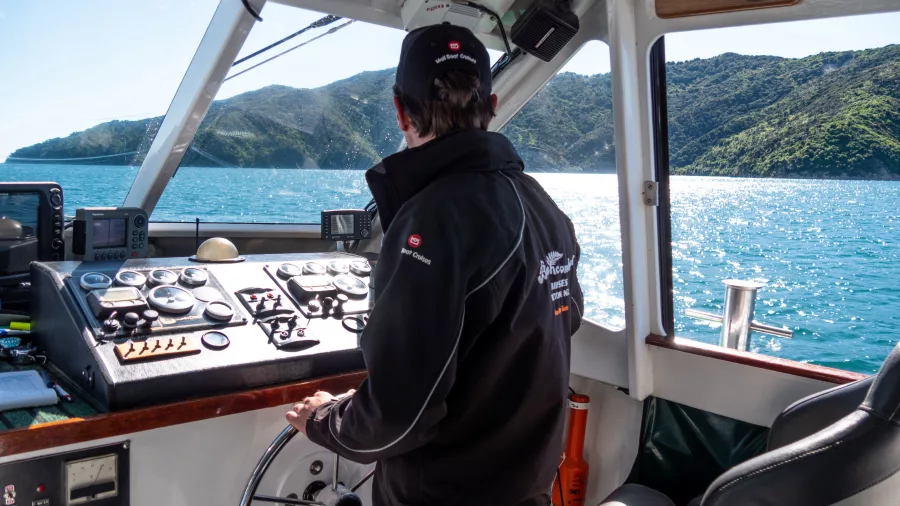 Skipper steering the boat through Queen Charlotte Sound with scenic views from the cabin.