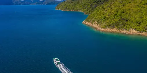 Aerial view of a Beachcomber mail boat rounding a bush-clad point in Queen Charlotte Sound.