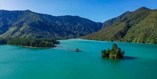 Scenic view from Motuara Island overlooking Queen Charlotte Sound and forested hills.