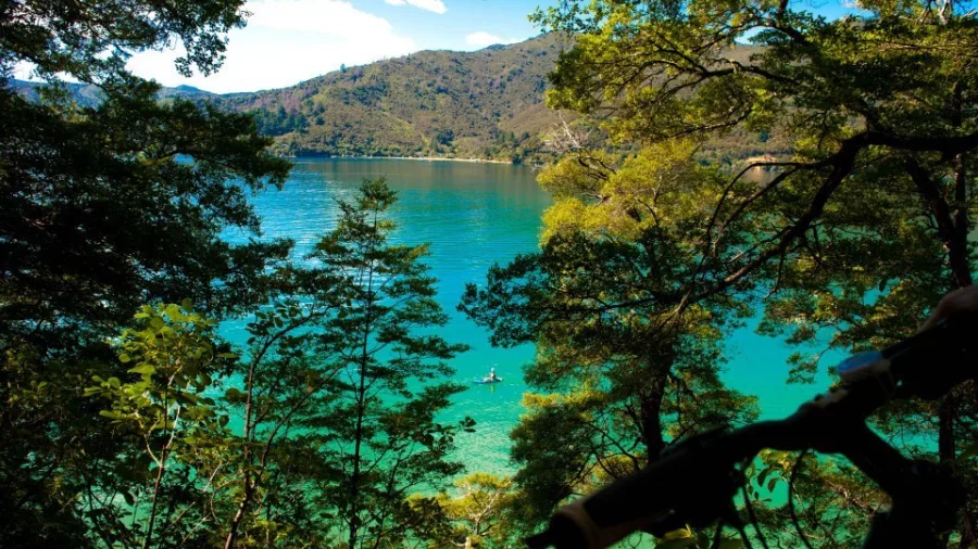 View through native forest to Queen Charlotte Sound with bike handlebars in foreground near Punga Cove.