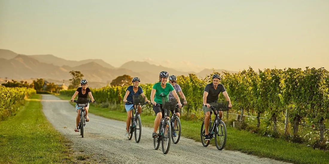 Group of riders cycling through scenic Marlborough vineyard paths on a wine tour