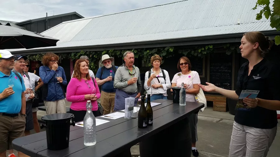 Group of wine tour guests listening to a guide during an outdoor tasting in Marlborough