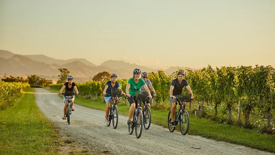 Group of riders cycling through scenic Marlborough vineyard paths on a wine tour