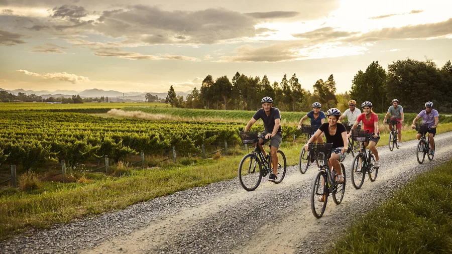 Guided group wine tour cycling through Marlborough vineyard trails under a glowing sky