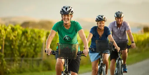 Two cyclists following a local guide on a vineyard trail in Marlborough