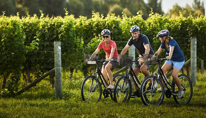 Cyclists pausing beside Marlborough vineyard rows during a wine tasting bike tour