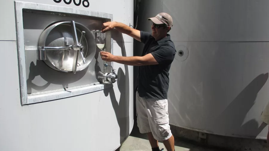 Winemaker drawing wine from a stainless steel tank during a vineyard tour in Marlborough