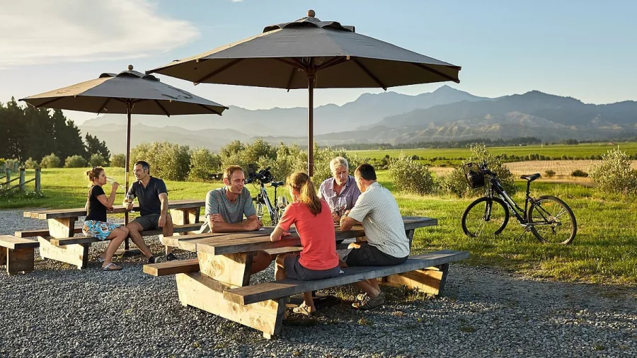 Group of cyclists relaxing at vineyard picnic tables during a Marlborough wine tour