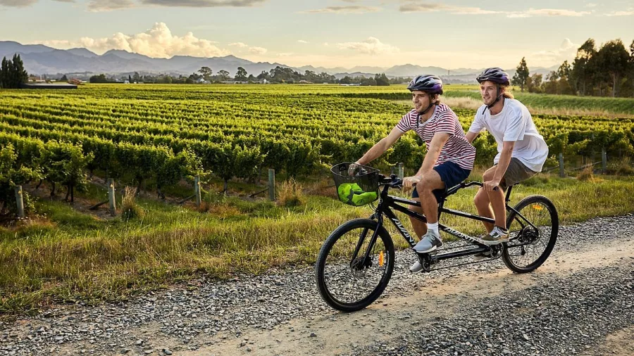 Two people riding a tandem bike through Marlborough vineyards