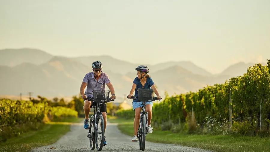 Couple cycling through vineyard-lined gravel trail in Marlborough
