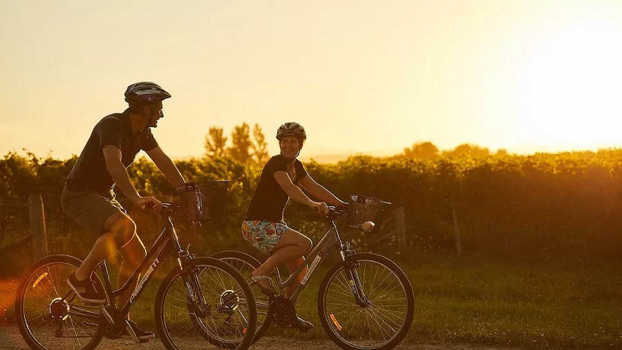 Couple cycling through Marlborough vineyards at golden hour on a wine tour