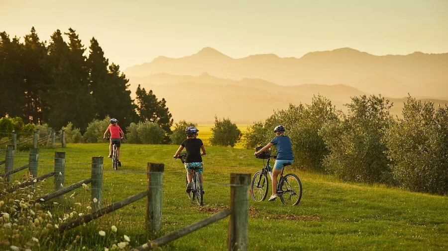 Cyclists riding on a grassy track through Marlborough vineyards