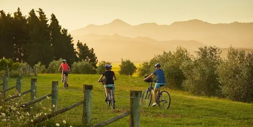Cyclists riding on a grassy track through Marlborough vineyards