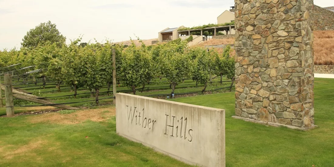 Modern winery architecture at Wither Hills in Marlborough with scenic backdrop
