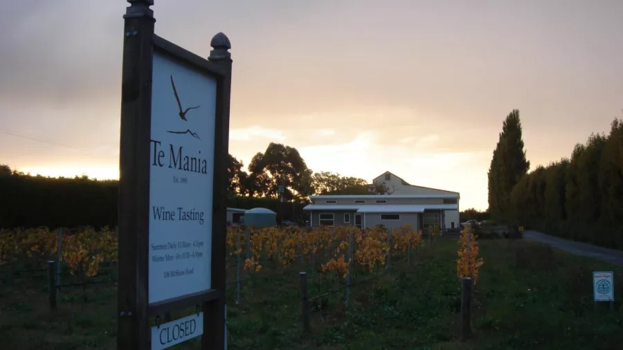 Te Mānia Winery sign at sunset, surrounded by autumn vines in Nelson