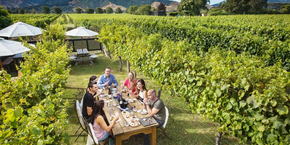 Group enjoying lunch and wine at an outdoor table surrounded by vineyards at Saint Clair Winery in Marlborough, New Zealand.