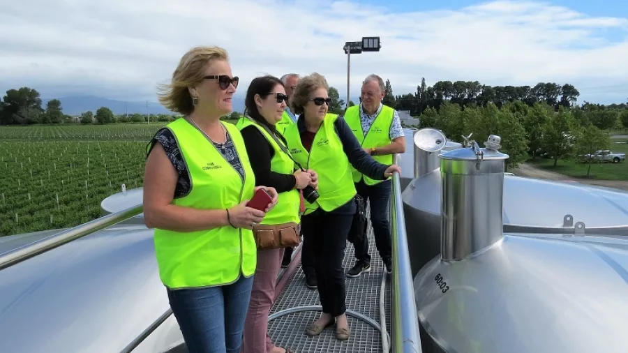 Group of visitors in high-vis vests standing on a winery tank platform, overlooking vineyards during a Marlborough winery tour in New Zealand.