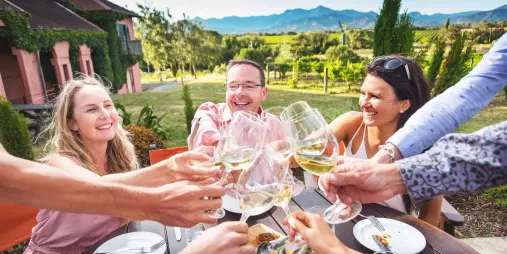 Group of people toasting wine glasses at a vineyard lunch in Marlborough