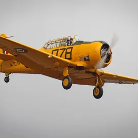 Bright yellow Harvard aircraft flying at the Classic Fighters Omaka Air Show in Blenheim