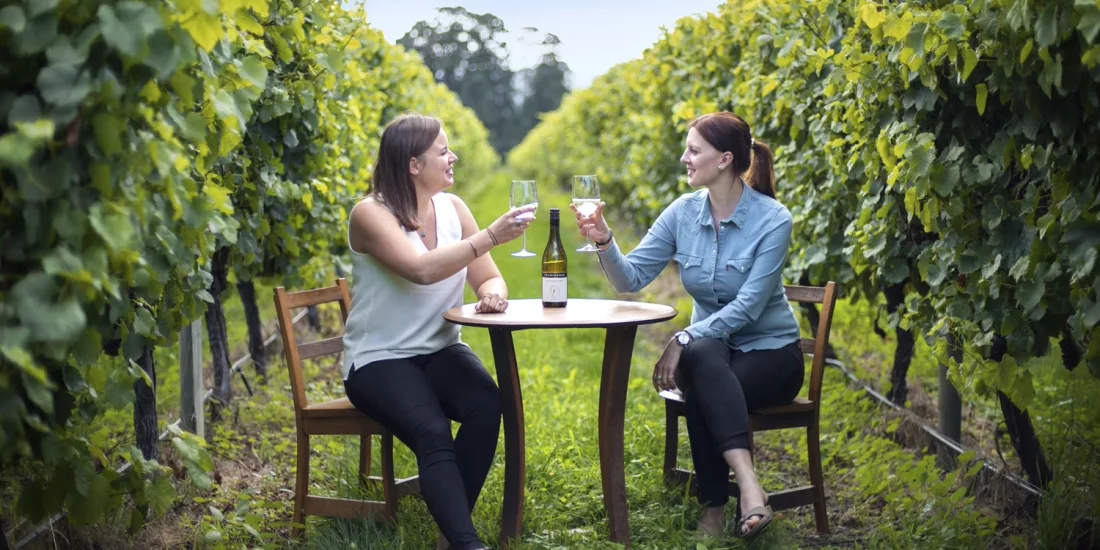 Two women toasting with wine glasses in Marlborough vineyard