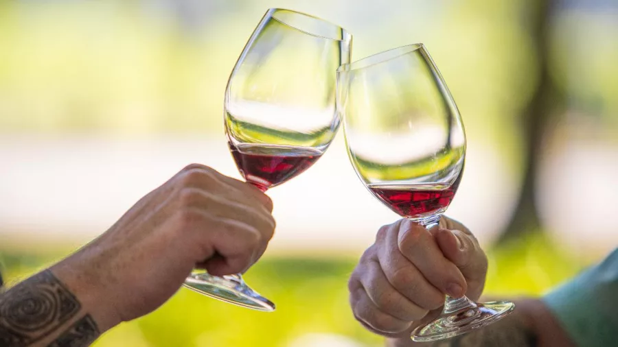 Close-up of red wine glasses toasting at Nautilus Wines in Marlborough