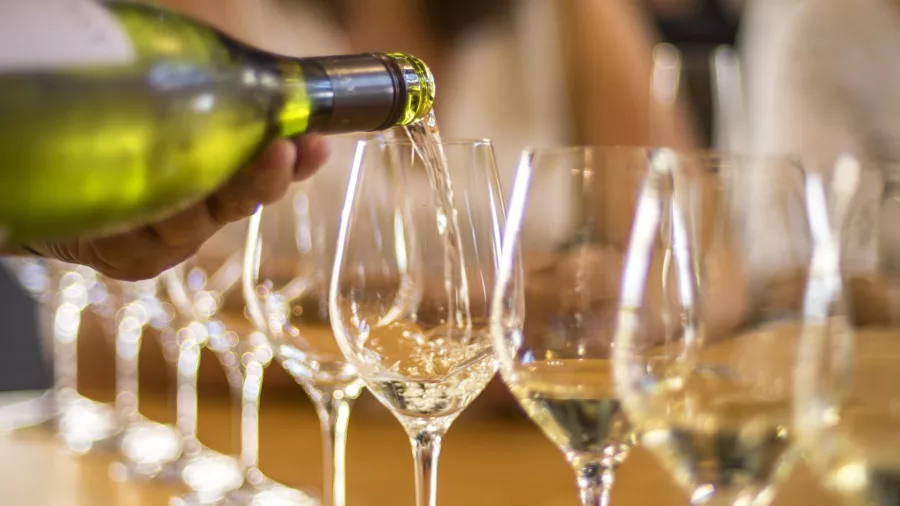 White wine being poured into tasting glasses during a Marlborough wine tour