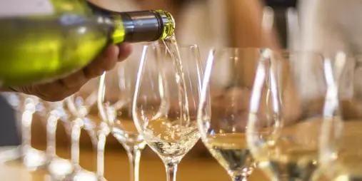 White wine being poured into tasting glasses during a Marlborough wine tour