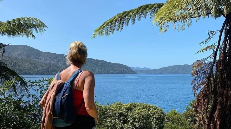 Hiker looking out over Marlborough Sound from Queen Charlotte Track framed by tree fern