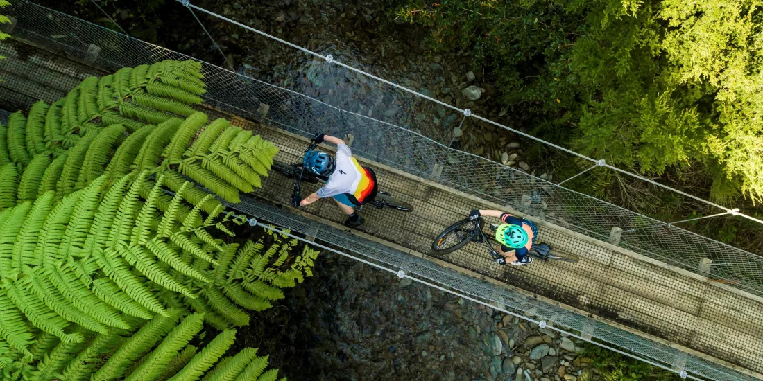 Overhead view of two cyclists crossing a swingbridge surrounded by native ferns.