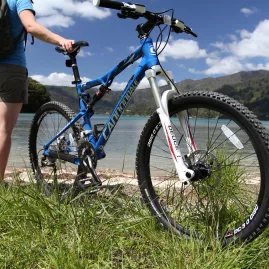 Mountain bike parked by the Marlborough Sounds shoreline, rented in Picton for nearby cycling trails.