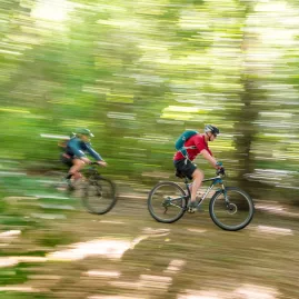 Two cyclists racing through a lush forest trail, mid-ride on the Queen Charlotte Track.