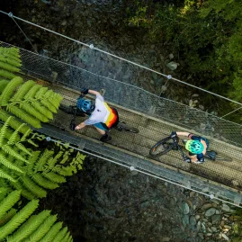 Overhead view of two cyclists crossing a swingbridge surrounded by native ferns.
