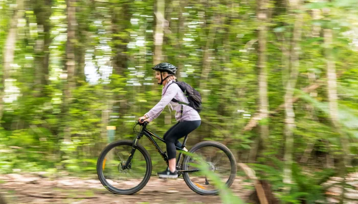 Woman riding a mountain bike through dense native bush on the Queen Charlotte Track.