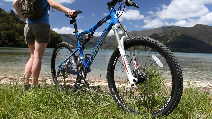 Mountain bike parked by the Marlborough Sounds shoreline, rented in Picton for nearby cycling trails.