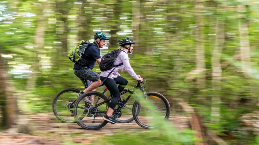 Couple cycling through a vibrant forest trail, surrounded by native trees and greenery.