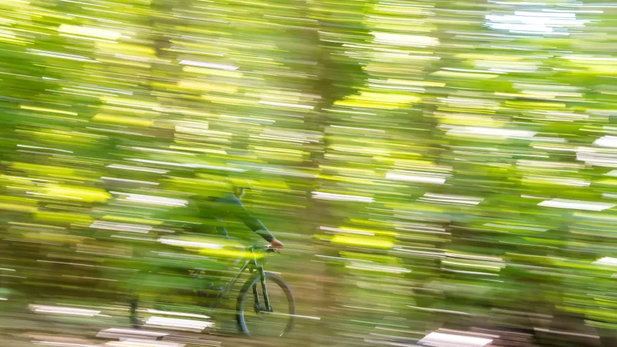 Blurred motion image of a cyclist riding through a sunlit forest on the Queen Charlotte Track.