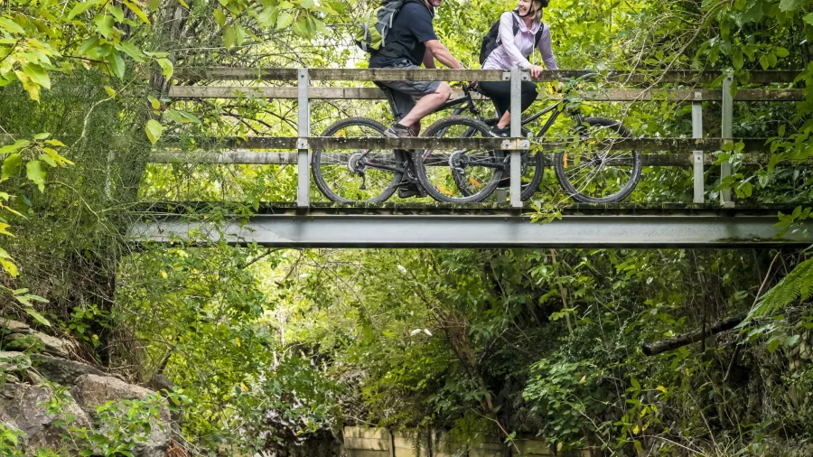 Couple on mountain bikes crossing a leafy bridge above a forest stream on the Queen Charlotte Track.
