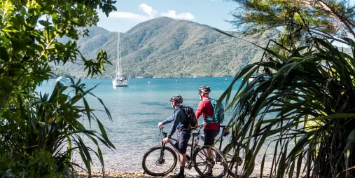 Cyclists looking out at the Marlborough Sounds near Furneaux Lodge on the Queen Charlotte Track.