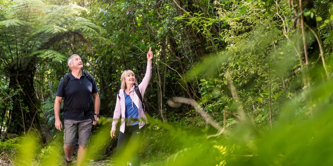 Mature couple walking through lush native bush near Furneaux Lodge